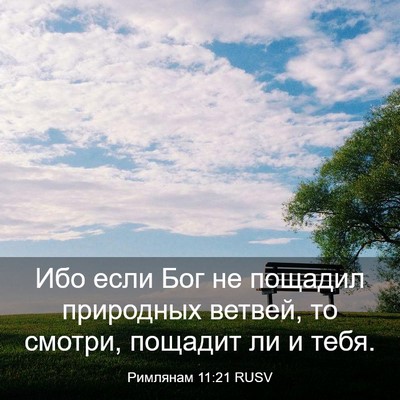 Picture 03 - Римлянам 11:21 RUSV - Ибо если Бог не пощадил - Bible Verse Picture