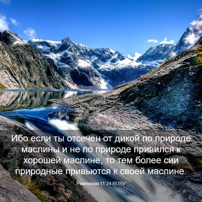 Picture 03 - Римлянам 11:24 RUSV - Ибо если ты отсечен от - Bible Verse Picture