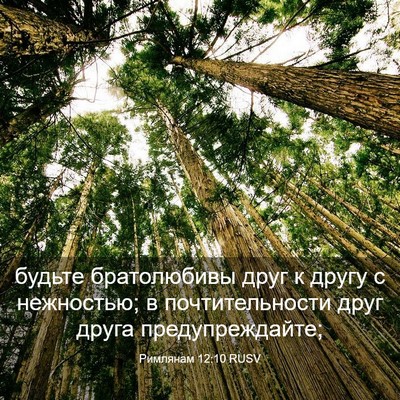 Picture 03 - Римлянам 12:10 RUSV - будьте братолюбивы друг к - Bible Verse Picture