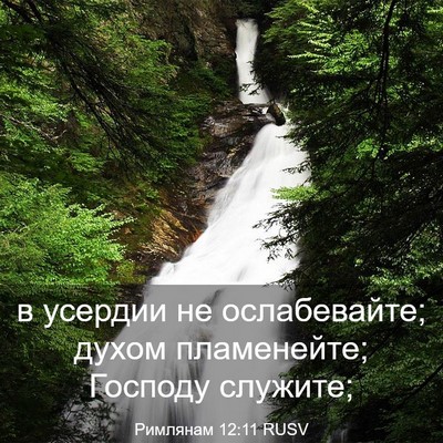 Picture 03 - Римлянам 12:11 RUSV - в усердии не ослабевайте; - Bible Verse Picture