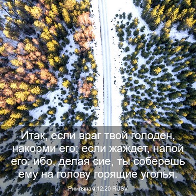 Picture 03 - Римлянам 12:20 RUSV - Итак, если враг твой - Bible Verse Picture