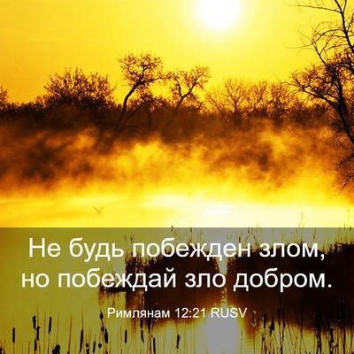 Picture 03 - Римлянам 12:21 RUSV - Не будь побежден злом, но - Bible Verse Picture