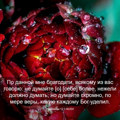 Picture 03 - Римлянам 12:3 RUSV - По данной мне благодати, - Bible Verse Picture