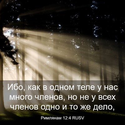 Picture 03 - Римлянам 12:4 RUSV - Ибо, как в одном теле у нас - Bible Verse Picture