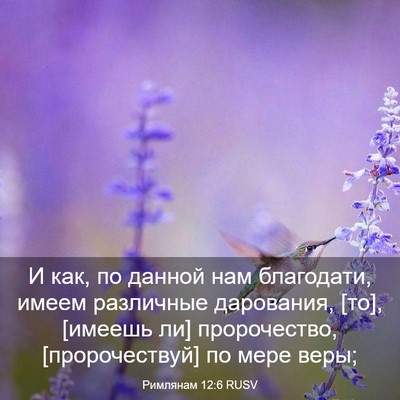 Picture 03 - Римлянам 12:6 RUSV - И как, по данной нам - Bible Verse Picture