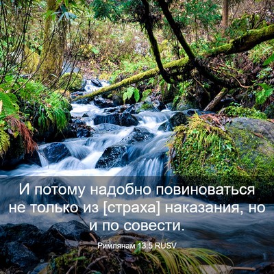 Picture 03 - Римлянам 13:5 RUSV - И потому надобно - Bible Verse Picture