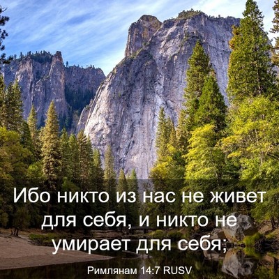 Picture 03 - Римлянам 14:7 RUSV - Ибо никто из нас не живет - Bible Verse Picture