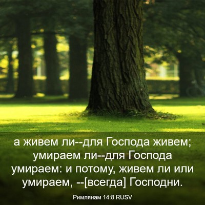 Picture 03 - Римлянам 14:8 RUSV - а живем ли--для Господа - Bible Verse Picture