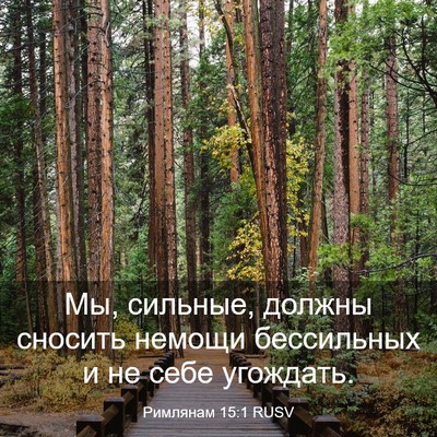 Picture 03 - Римлянам 15:1 RUSV - Мы, сильные, должны сносить - Bible Verse Picture