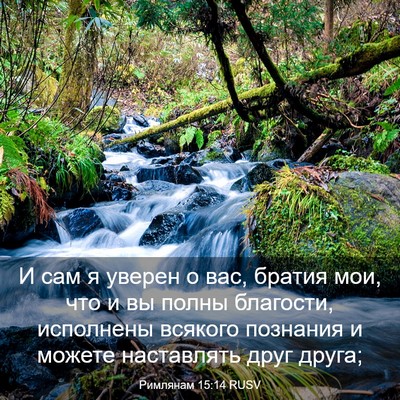 Picture 03 - Римлянам 15:14 RUSV - И сам я уверен о вас, братия - Bible Verse Picture