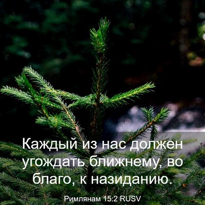 Picture 03 - Римлянам 15:2 RUSV - Каждый из нас должен - Bible Verse Picture