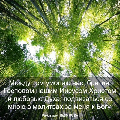 Picture 03 - Римлянам 15:30 RUSV - Между тем умоляю вас, - Bible Verse Picture