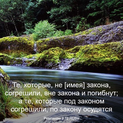 Picture 03 - Римлянам 2:12 RUSV - Те, которые, не [имея] - Bible Verse Picture