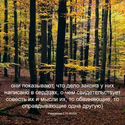 Picture 03 - Римлянам 2:15 RUSV - они показывают, что дело - Bible Verse Picture
