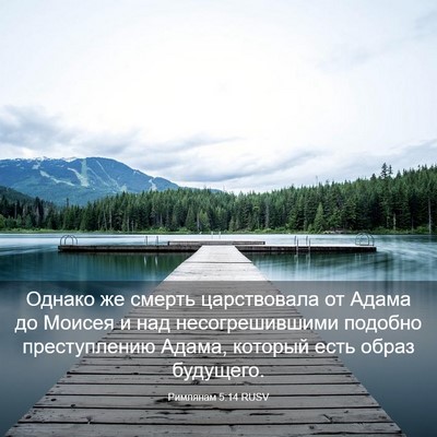 Picture 03 - Римлянам 5:14 RUSV - Однако же смерть - Bible Verse Picture