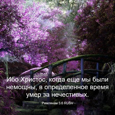 Picture 03 - Римлянам 5:6 RUSV - Ибо Христос, когда еще мы - Bible Verse Picture