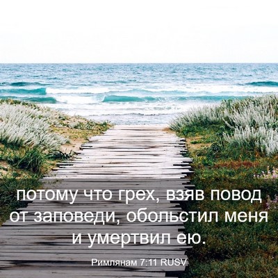 Picture 03 - Римлянам 7:11 RUSV - потому что грех, взяв повод - Bible Verse Picture