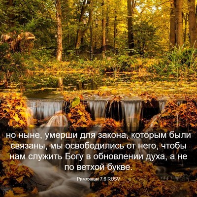 Picture 03 - Римлянам 7:6 RUSV - но ныне, умерши для закона, - Bible Verse Picture