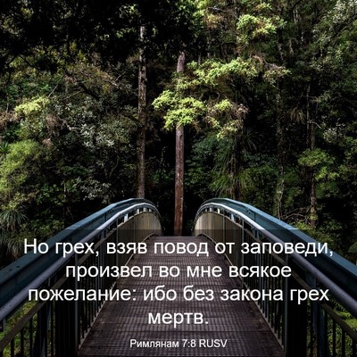 Picture 03 - Римлянам 7:8 RUSV - Но грех, взяв повод от - Bible Verse Picture