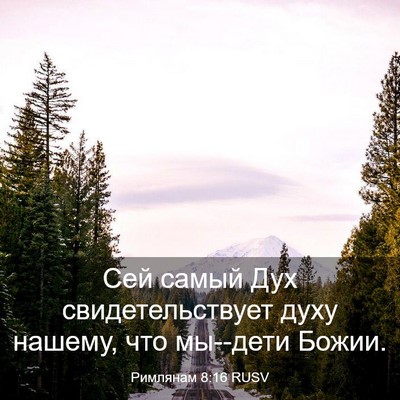 Picture 03 - Римлянам 8:16 RUSV - Сей самый Дух - Bible Verse Picture