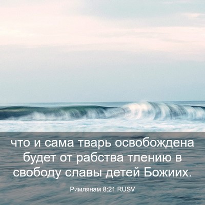 Picture 03 - Римлянам 8:21 RUSV - что и сама тварь - Bible Verse Picture