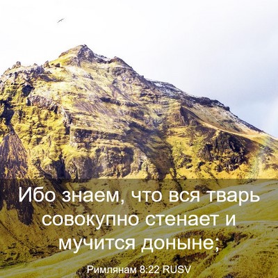 Picture 03 - Римлянам 8:22 RUSV - Ибо знаем, что вся тварь - Bible Verse Picture