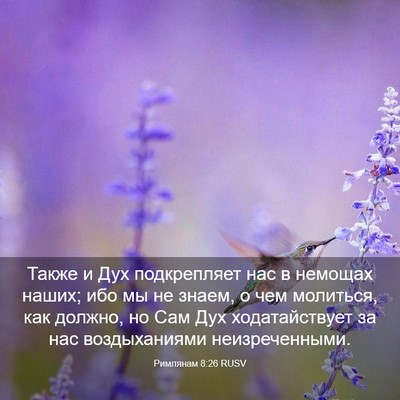 Picture 03 - Римлянам 8:26 RUSV - Также и Дух подкрепляет - Bible Verse Picture