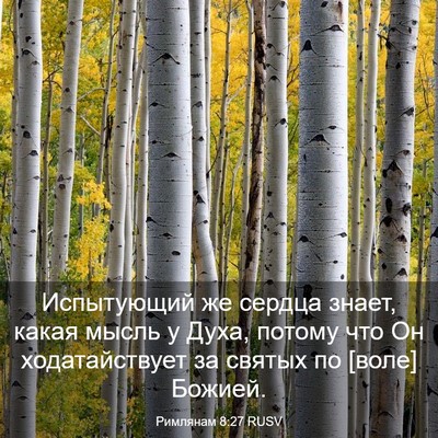Picture 03 - Римлянам 8:27 RUSV - Испытующий же сердца - Bible Verse Picture