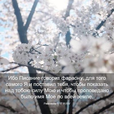 Picture 03 - Римлянам 9:17 RUSV - Ибо Писание говорит - Bible Verse Picture