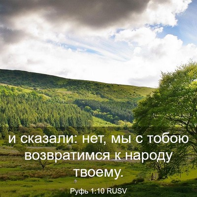 Picture 03 - Руфь 1:10 RUSV - и сказали: нет, мы с тобою - Bible Verse Picture
