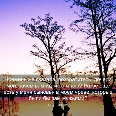 Picture 03 - Руфь 1:11 RUSV - Ноеминь же сказала: - Bible Verse Picture