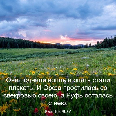 Picture 03 - Руфь 1:14 RUSV - Они подняли вопль и опять - Bible Verse Picture