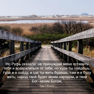 Picture 03 - Руфь 1:16 RUSV - Но Руфь сказала: не - Bible Verse Picture