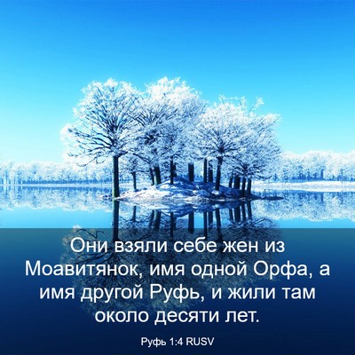 Picture 03 - Руфь 1:4 RUSV - Они взяли себе жен из - Bible Verse Picture