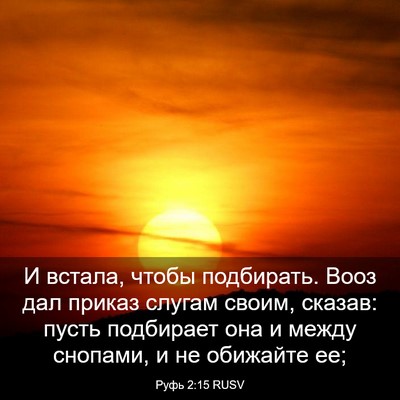 Picture 03 - Руфь 2:15 RUSV - И встала, чтобы подбирать. - Bible Verse Picture