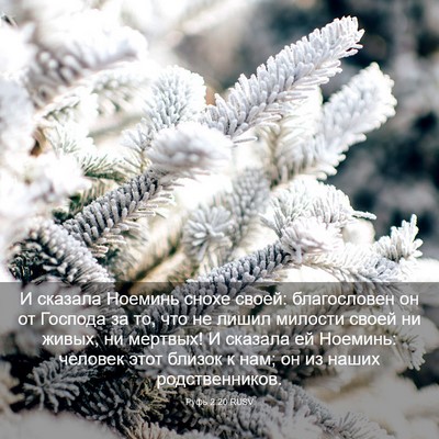 Picture 03 - Руфь 2:20 RUSV - И сказала Ноеминь снохе - Bible Verse Picture