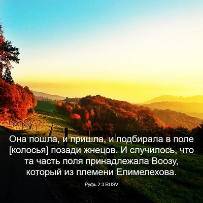 Picture 03 - Руфь 2:3 RUSV - Она пошла, и пришла, и - Bible Verse Picture