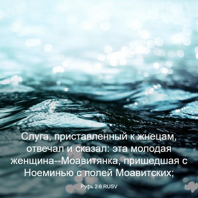 Picture 03 - Руфь 2:6 RUSV - Слуга, приставленный к - Bible Verse Picture