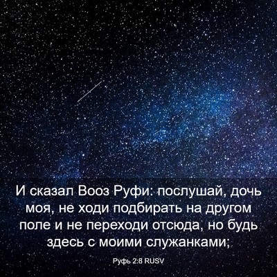 Picture 03 - Руфь 2:8 RUSV - И сказал Вооз Руфи: - Bible Verse Picture