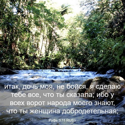 Picture 03 - Руфь 3:11 RUSV - итак, дочь моя, не бойся, я - Bible Verse Picture
