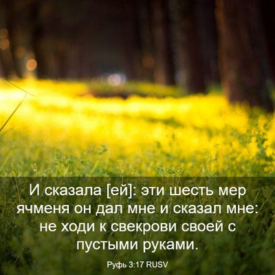 Picture 03 - Руфь 3:17 RUSV - И сказала [ей]: эти шесть - Bible Verse Picture