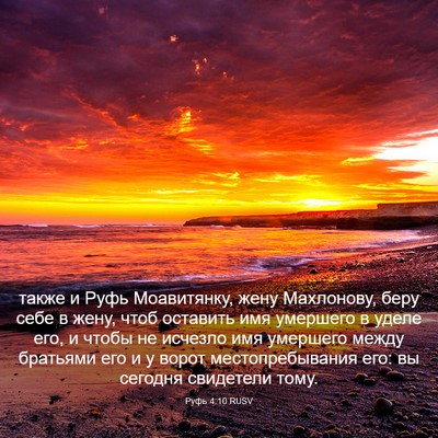Picture 03 - Руфь 4:10 RUSV - также и Руфь Моавитянку, - Bible Verse Picture
