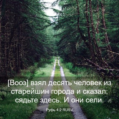 Picture 03 - Руфь 4:2 RUSV - [Вооз] взял десять человек - Bible Verse Picture