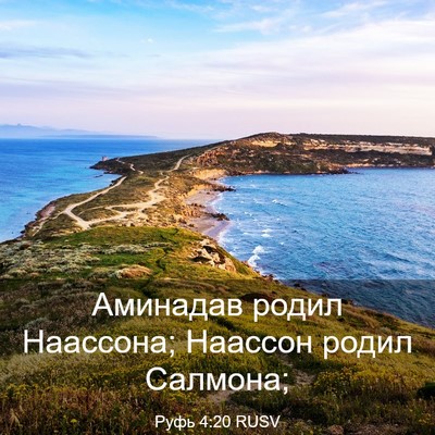 Picture 03 - Руфь 4:20 RUSV - Аминадав родил Наассона; - Bible Verse Picture