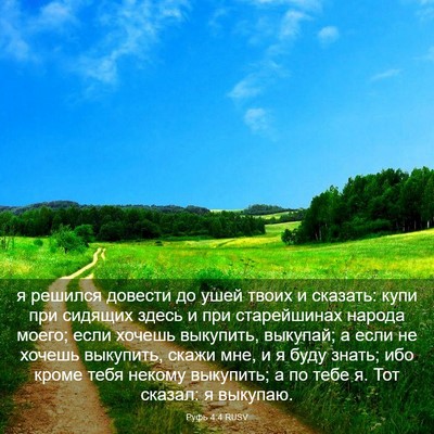 Picture 03 - Руфь 4:4 RUSV - я решился довести до ушей - Bible Verse Picture