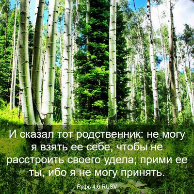 Picture 03 - Руфь 4:6 RUSV - И сказал тот родственник: - Bible Verse Picture