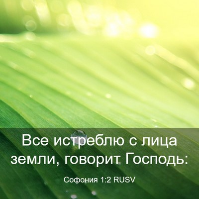 Picture 03 - Софония 1:2 RUSV - Все истреблю с лица земли, - Bible Verse Picture