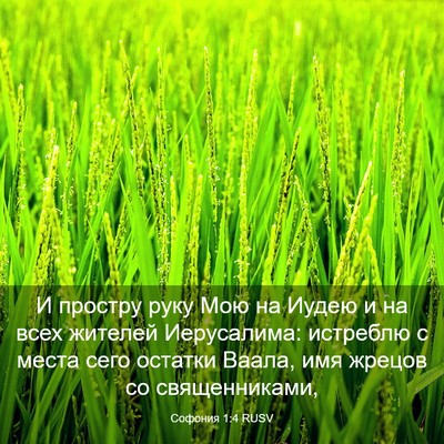 Picture 03 - Софония 1:4 RUSV - И простру руку Мою на Иудею - Bible Verse Picture