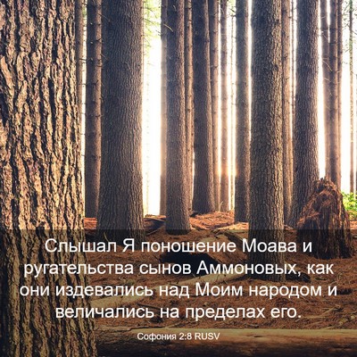 Picture 03 - Софония 2:8 RUSV - Слышал Я поношение Моава и - Bible Verse Picture