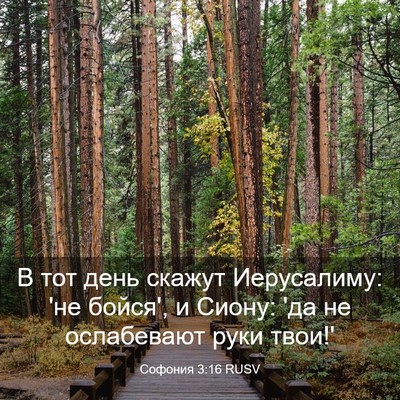 Picture 03 - Софония 3:16 RUSV - В тот день скажут - Bible Verse Picture
